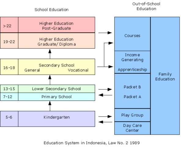 School system. School Education in the USA таблица. Education System in uk схема. Higher Education in England схема. School Education uk схема.