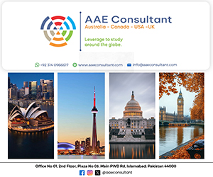 AAE Consultants 