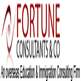 FORTUNE CONSULTANTS & CO